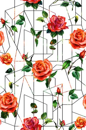 春夏华亿平台印花华亿平台图片