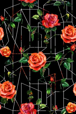 春夏华亿平台印花华亿平台图片