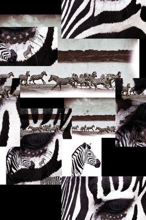 潮牌印花华亿平台图片