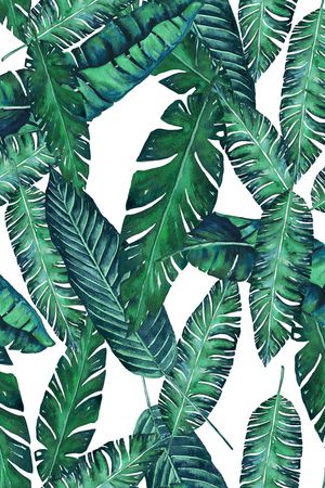 热带华亿平台印花华亿平台图片