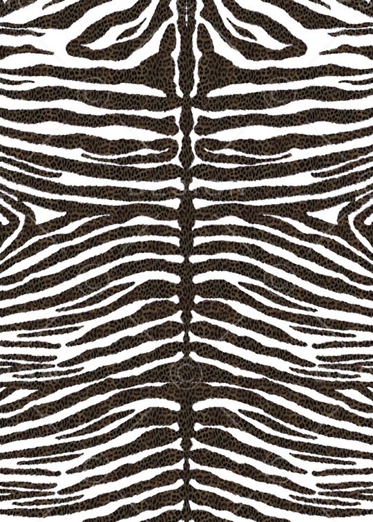 big zebra印花华亿平台图片