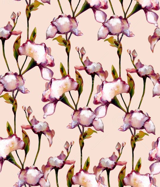 鸢尾花印花华亿平台图片