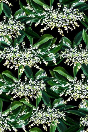 黑底花卉印花华亿平台图片