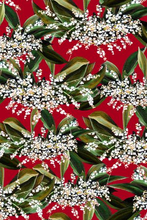 黑底花卉印花华亿平台图片