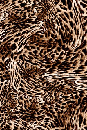 豹纹印花华亿平台图片