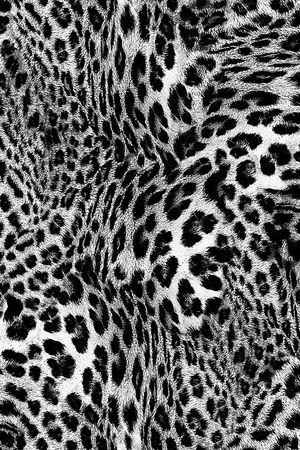 豹纹印花华亿平台图片