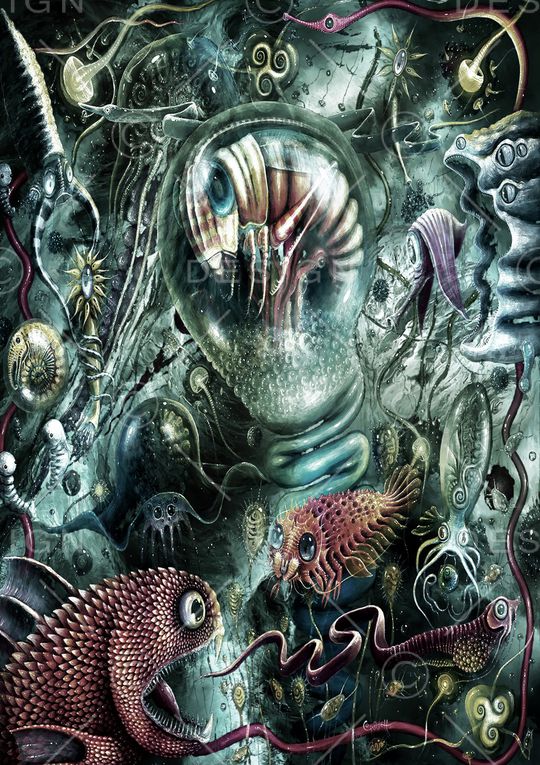 潮牌印花华亿平台图片