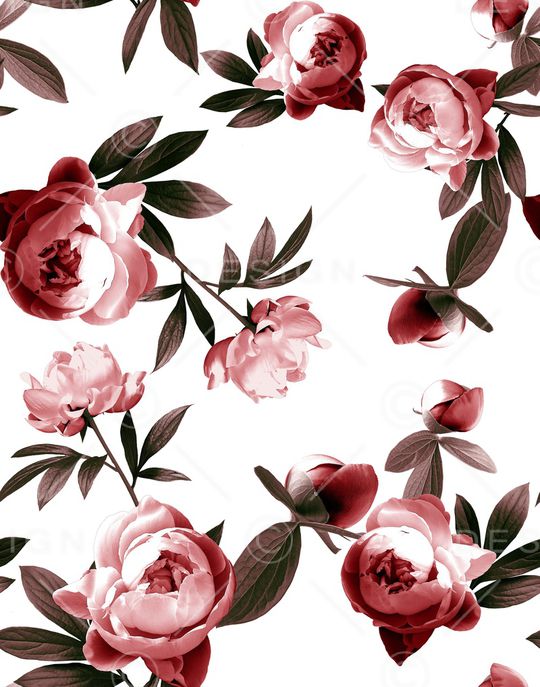 牡丹印花华亿平台图片