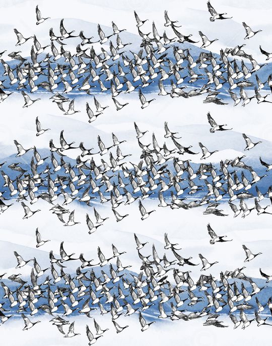 大牌男装印花华亿平台图片