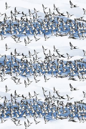 大牌男装印花华亿平台图片