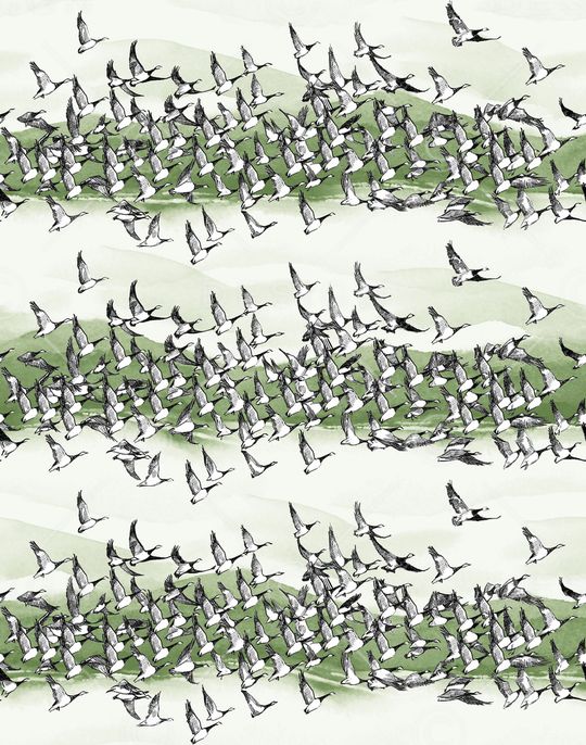 大牌男装印花华亿平台图片