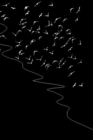 潮牌印花华亿平台图片