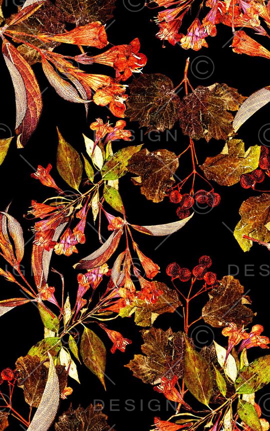 黑底花卉印花华亿平台图片