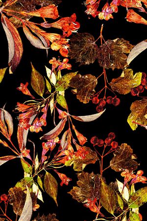 黑底花卉印花华亿平台图片