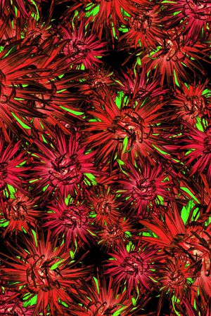 笔触印花华亿平台图片