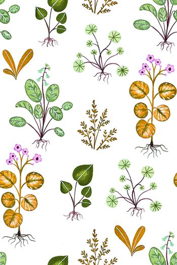 1140148-2018110501-2