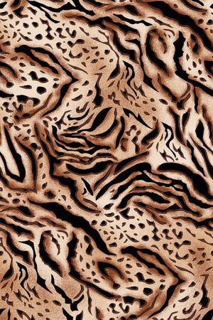 豹纹印花华亿平台图片