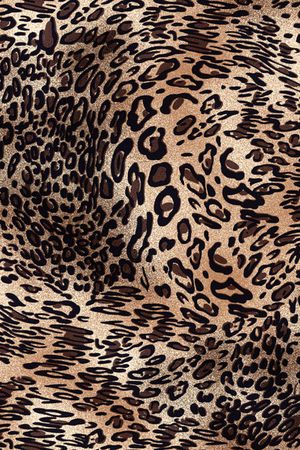 豹纹印花华亿平台图片