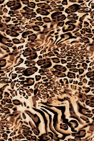 豹纹印花华亿平台图片