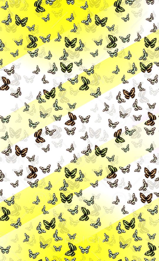 渐变印花华亿平台图片