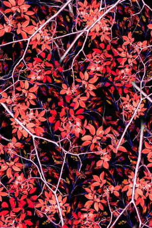 手绘印花华亿平台图片