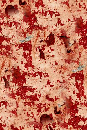 复古印花华亿平台图片