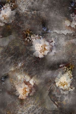 秋冬华亿平台印花华亿平台图片