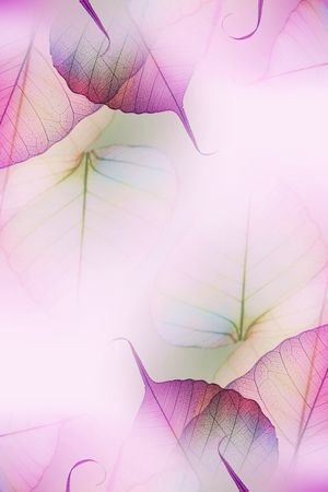 植物印花华亿平台图片