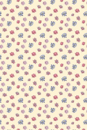 1141113-zzh001.psd黄色