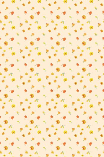 1141148-zzh002黄色