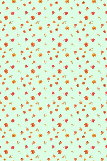 1141149-zzh002绿色