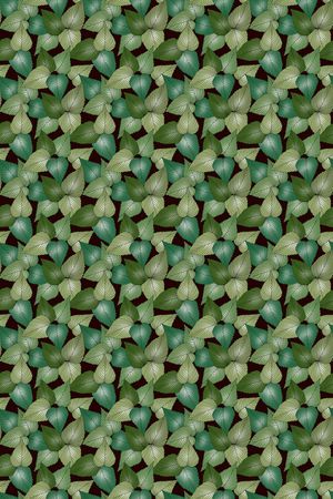 女装印花华亿平台图片