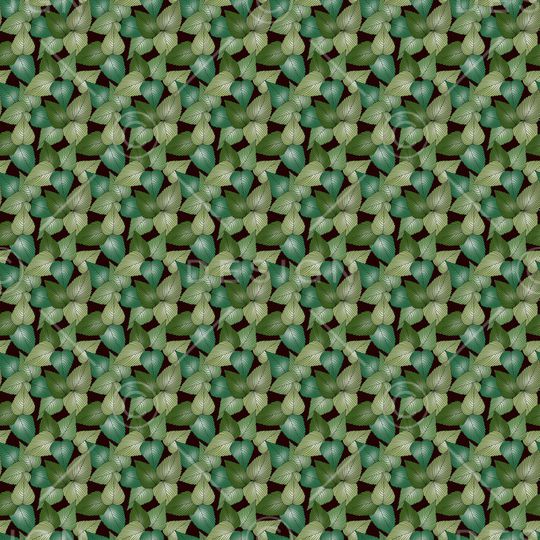 女装印花华亿平台图片