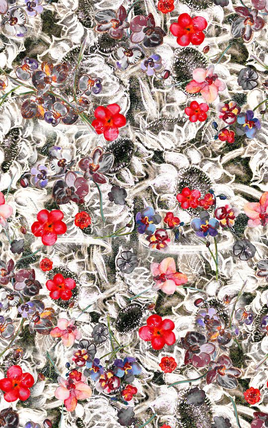 秋冬华亿平台印花华亿平台图片