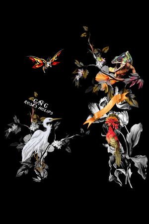 火烈鸟印花华亿平台图片