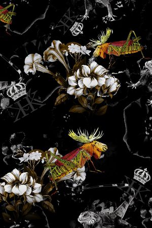 鸟/昆虫印花华亿平台图片