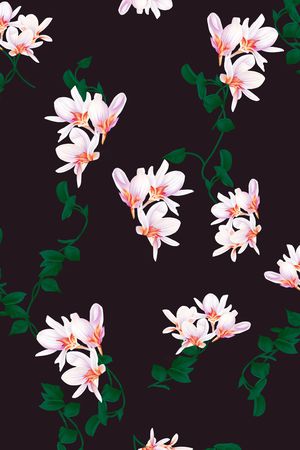 大牌风印花华亿平台图片