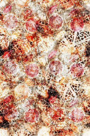 复古印花华亿平台图片