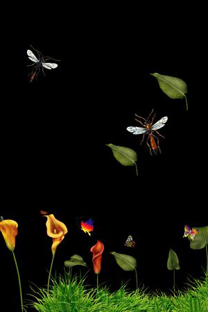 动物印花华亿平台图片