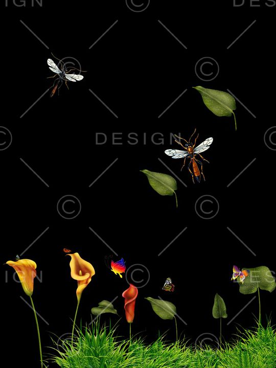 动物印花华亿平台图片