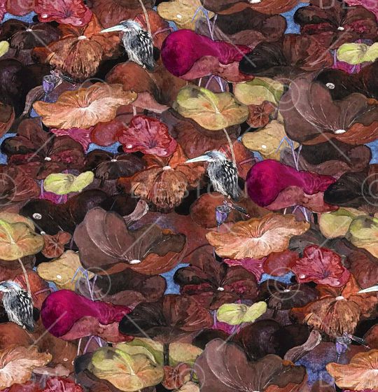 荷花印花华亿平台图片