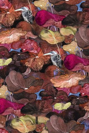 荷花印花华亿平台图片