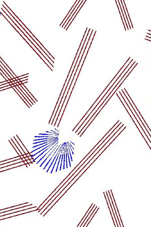 线条印花华亿平台图片