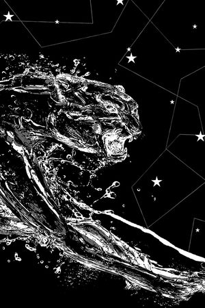 潮牌印花华亿平台图片