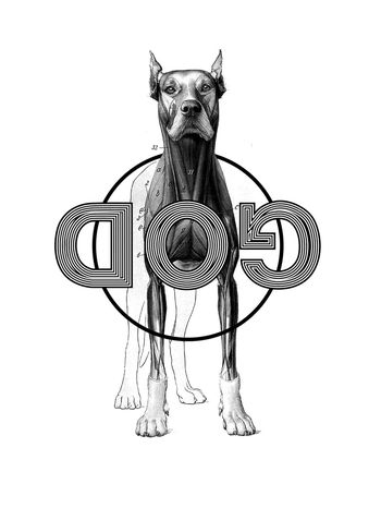 大牌风印花华亿平台图片