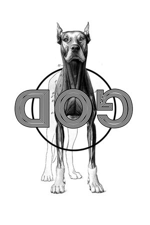 大牌风印花华亿平台图片