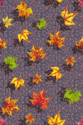 1143996-zzh006粉色