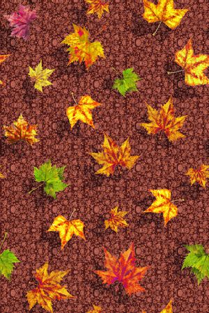 大牌风印花华亿平台图片