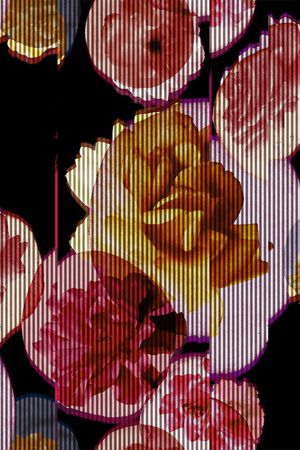 秋冬华亿平台印花华亿平台图片