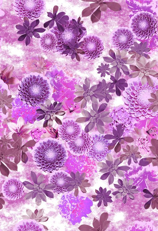 秋冬华亿平台印花华亿平台图片